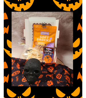 Box halloween friandise, balle, mastication et bandana pour chien.