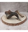 Grande corne de mouton pour chien.