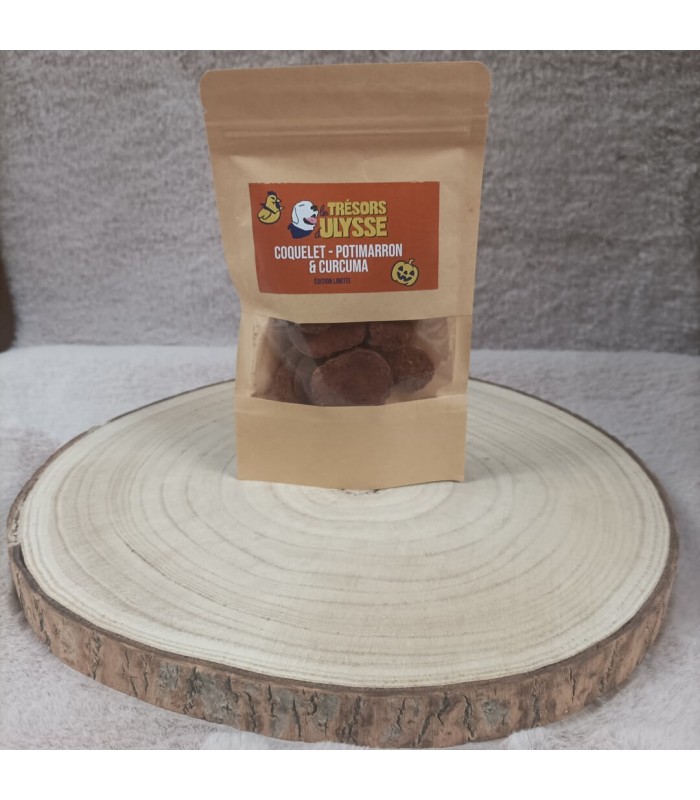 Biscuit coquelet potimarron et curcuma pour chien.