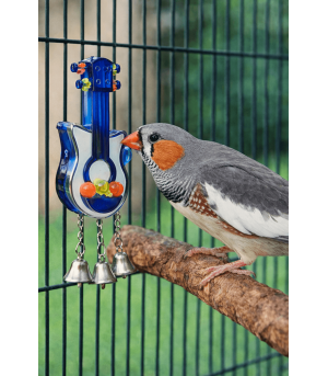 Oiseau qui joue avec la guitare jw.