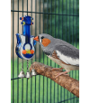 Oiseau qui joue avec la guitare jw.