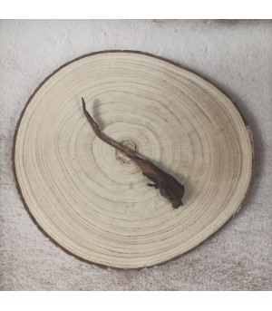 Petite queue de sanglier pour chien.