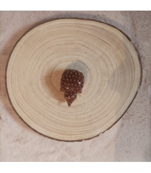 Petit hérisson veggie pour chien.