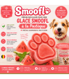 Bienfaits de la glace smoofl pastèque pour chien.