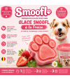 Apports de la glace à la fraise pour chien.