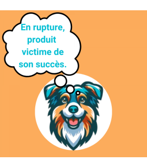 Rupture de glace smoofl fraise pour chien.