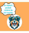 Rupture de glace smoofl fraise pour chien.