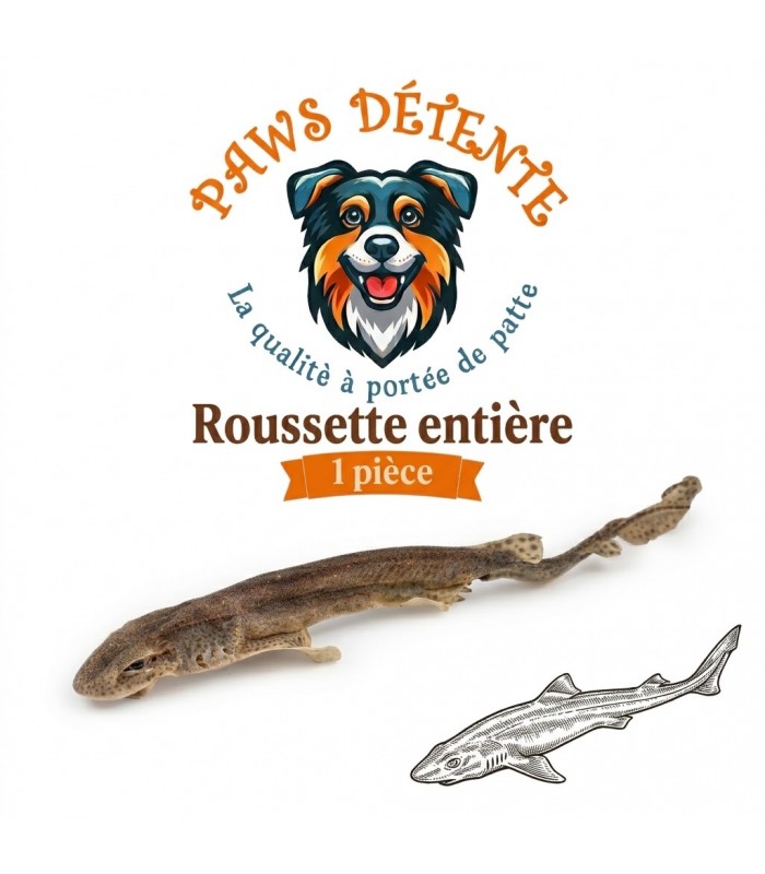 Roussette séchée pour chien.