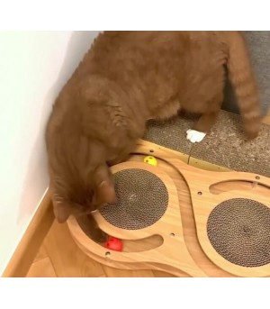 Jouet d'occupation pour chat circuit.