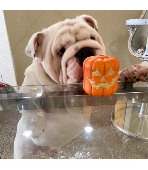 Chien lèchant son jack'o lantern de Sodapup.