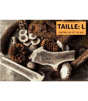 Bois de cerf tranché taille L pour chien.