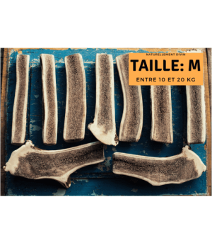 Bois de cerf tranché taille M pour chien.