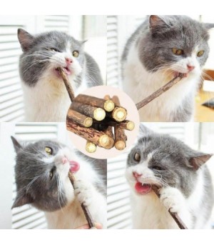 Chat qui joue avec bâtonnet de matatabi.