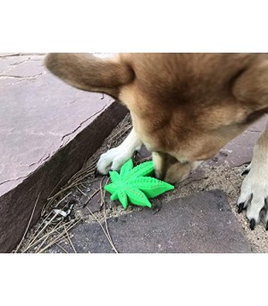 Jouet de mastication feuille de cannabis de Sodapup.