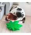 Jouet d'occupation Feuille de cannabis pour chien.