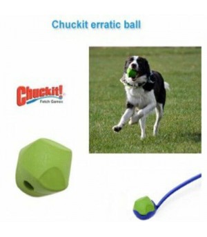 Balle erratic avec le lanceur de balle chuckit pour chien.