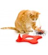 jouet magnétique avec coccinelle pour chat.