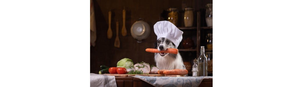 Articles pour cuisiner pour votre chien.