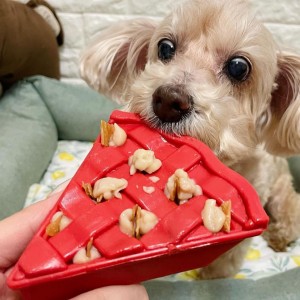 Jouets à garnir et à mâcher pour chien.