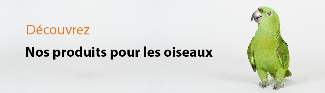 Jouet de réflexion pour oiseau :