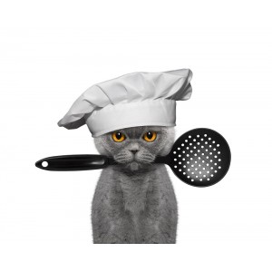 Côté cuisine pour chat.