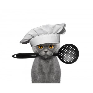 Côté cuisine pour chats.