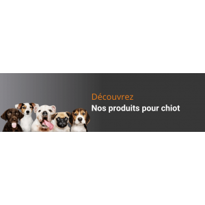 Chiots.