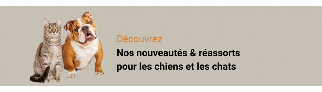 Nouveautés pour chiens et chats