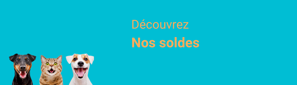Solde hiver 2025 | Paws détente lille