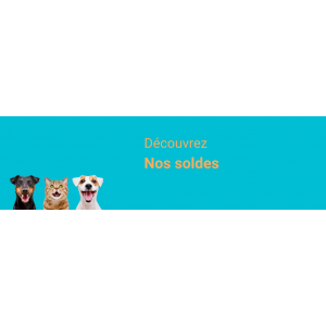 Solde 2025