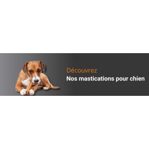 Mastication pour chien par type