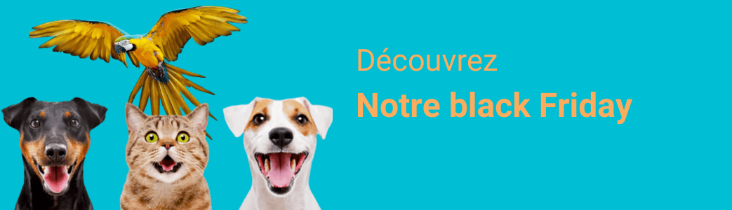Black friday | paws détente Lille