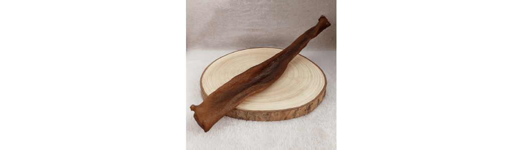 Mastication & friandise pour chien et chat | pawsdetente Lille