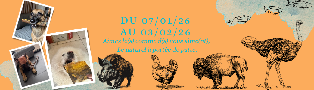 Solde Mastication & friandise pour chien et chat | pawsdetente Lille