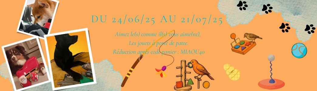 Soldes Jouets et accessoires pour chien, chat & oiseau | paws detente