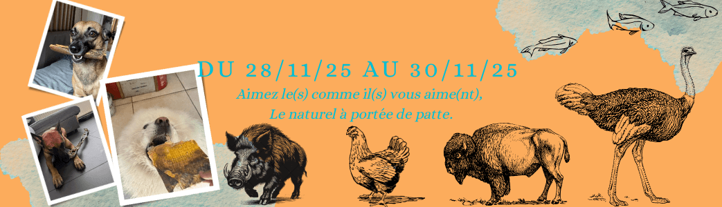 Mastication black friday