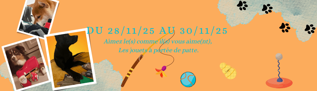 divers blackfriday | paws detente