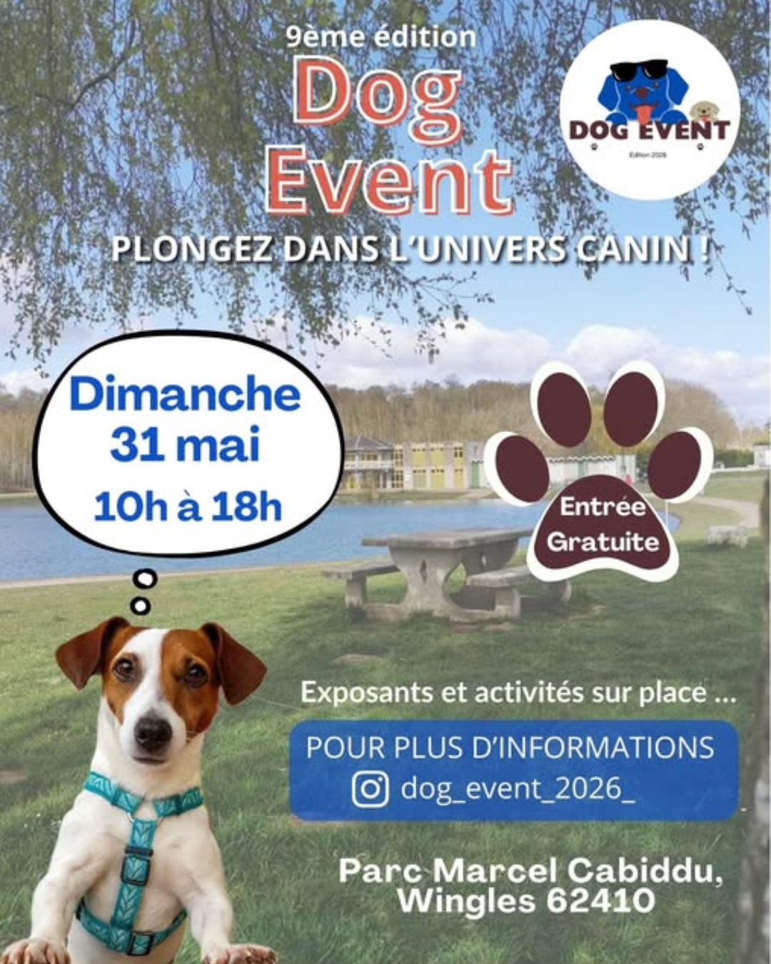 Dog event