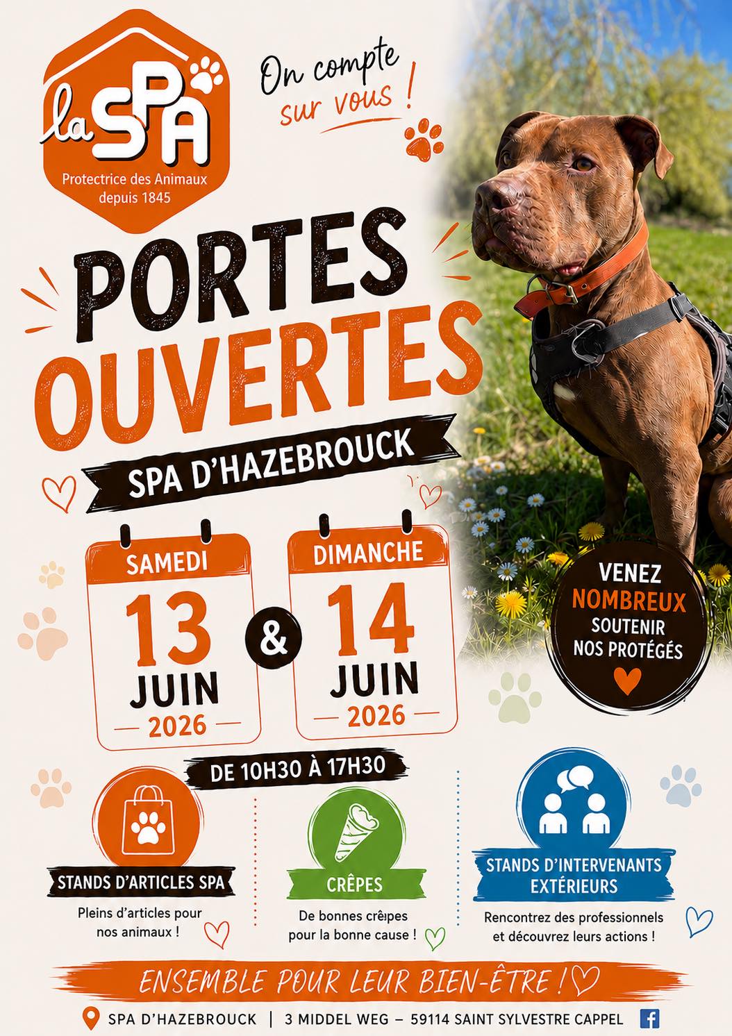 Journées portes ouverte de la spa d'Hazebrouck.
