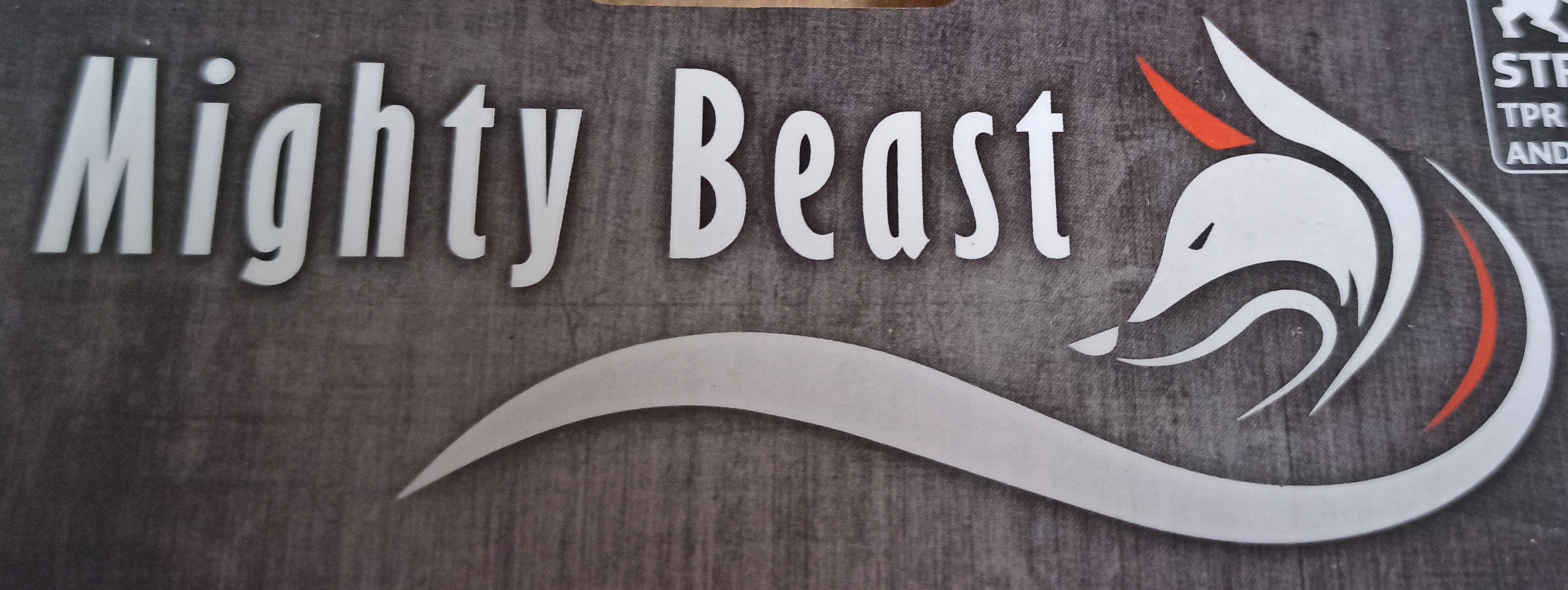 Mighty Beast