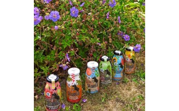 Les smoothies pour chien : les boissons naturelles plein de nutriments essentiels pour votre poilu.