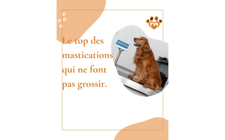  Découvrez les meilleures mastications faibles en graisse pour votre chien