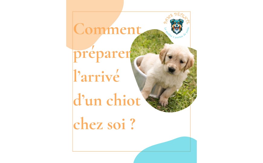 Comment préparer votre maison pour l'arrivée d'un chiot ?